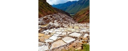 maras-600x600